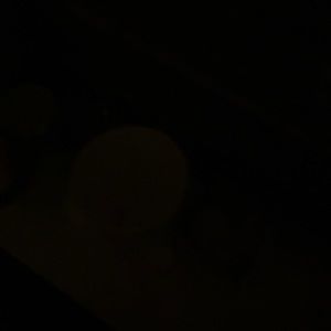 Meet your Posher, Asia